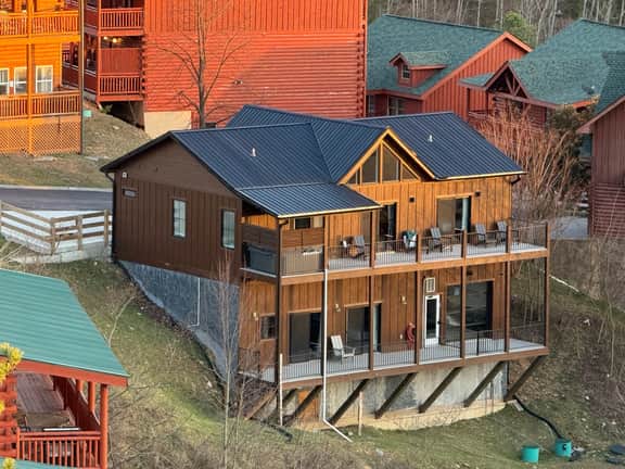 Bearly Haus - Image 4